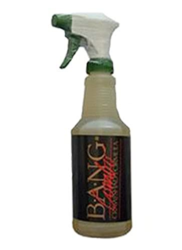 Bass Assassin Bang Fish Attractant Trigger Spray, Combo, 16 Oz.