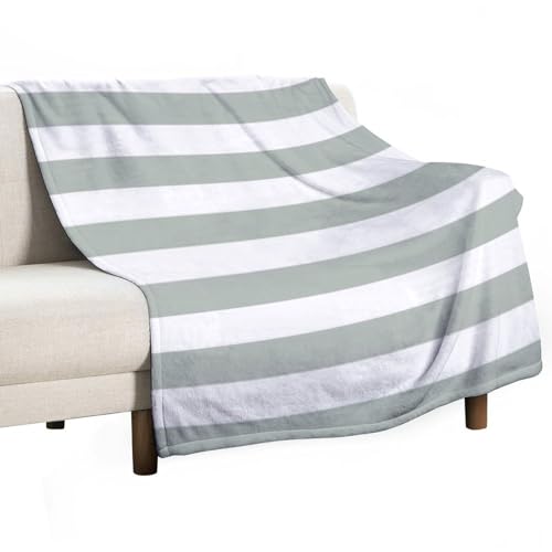 asbwuo Manta Suave y Afelpada, con Estampado de Rayas Gris Plateado, cálida y acogedora para Todas Las Estaciones. Ideal para sofá, sillón, Cama, Camping y Viajes. 60' x 80'.