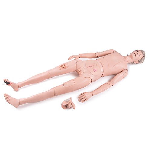 3B Scientific P11/1 Basic Care
