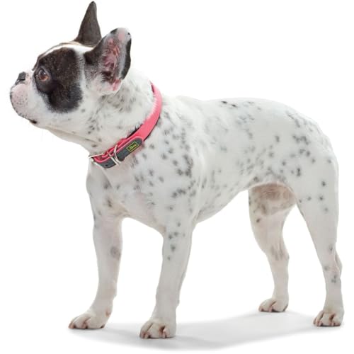HUNTER Hundehalsband CONVENIENCE COMFORT, Farbe: neonpink, Mit Neopren-Polsterung, witterungsbeständig, pflegeleicht, ideal für Sport & Freizeit, Größe: 55