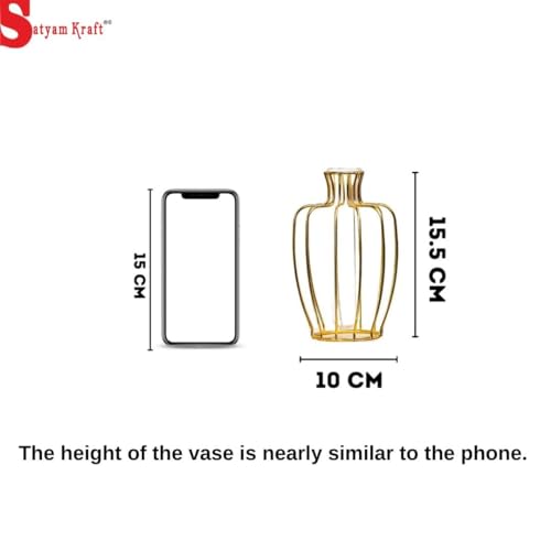 SATYAM KRAFT 1 Pcs Metal Vase for Home Decor,Living Room,Bedroom,Office,Table Centerpiece,Propagation Station with Metal Frame,Test Tube Glass Items Vase for Flower Pot(Only Vase,No Flower),Gold