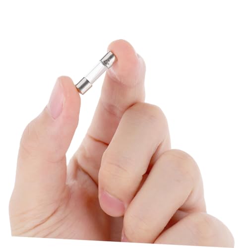 TEHAUX Kit de Fusibles de Vidrio 200 piezas Accion Rápida 5x20mm 0.2A-20A con Estuche miniatura 7
