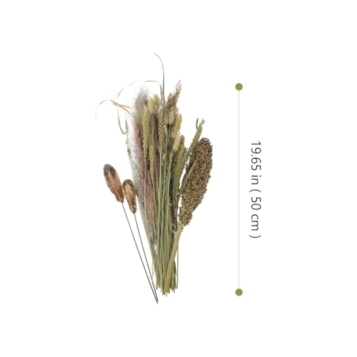 Paquete de Ramo Seco de Hierba Pampas Natural para Decoración miniatura 4