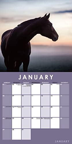 2023 Horses 12" X 12" Square Wall Calendar, No Plastic, Pony Equine Gift Planner Organizer #TOP2