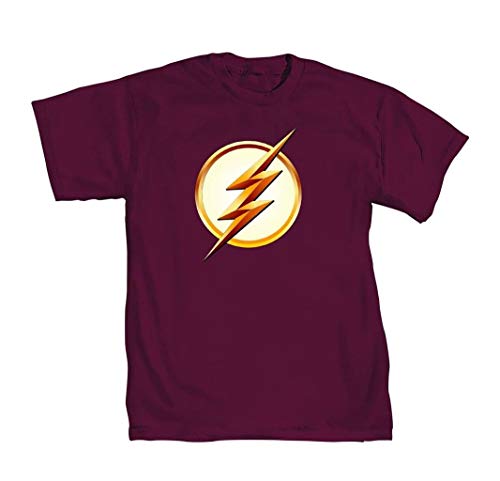 DC Comics Men's The Flash Distressed Logo T-Shirt
