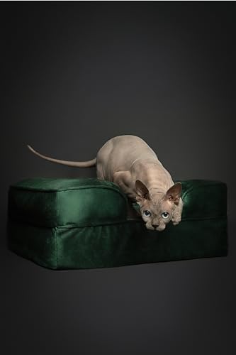 Image of NOAH & PAW Small Dog Bed, 20x15x8 Inch, Cat Bed for Indoor Cats, Orthopedic Eggshell Memory Foam Infused with Cooling Gel, Water Resistant Inner Cover Machine Washable (Velvet Collection)