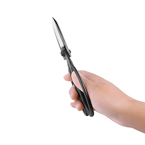 Viseman Japanese Bonsai Pruning Scissors-Kintakashi Gardening Shears For Bonsai Trimming #TOP4