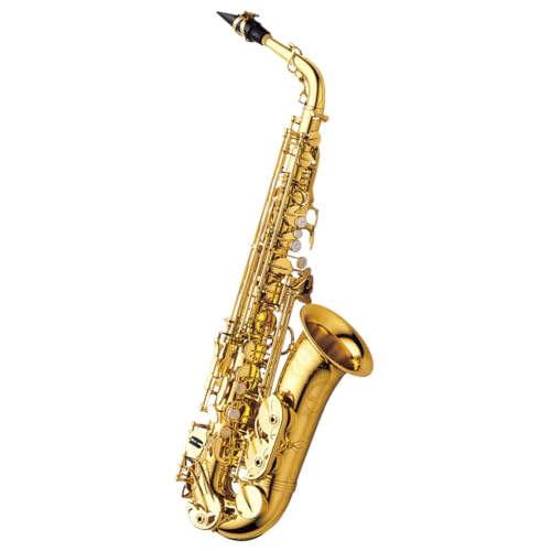 Amazon.co.jp: Yanagisawa / A-WO10 ヤナギサワ アルトサックス