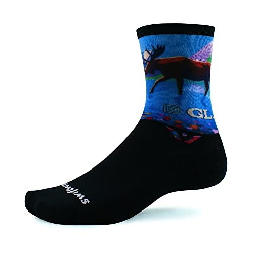Swiftwick- VISION SIX Impression, Parks Edition, Running and Cycling Socks (Glacier, Medium)