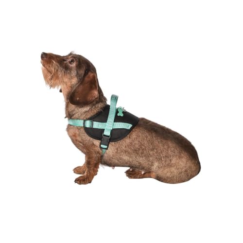 Bobby Easy Safe - Hundegeschirr mit Anhänger, Hundegeschirr für mittelgroße kleine große Hunde aus Nylon, sicher, bequem, reflektierend, braun, 39-50x1,6 cm