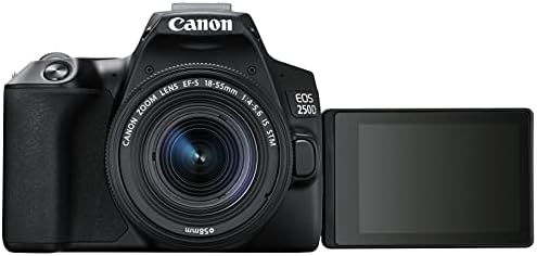 Canon EOS 250D + Canon EF-s 18-55mm f/4-5.6 IS STM Lens - Black