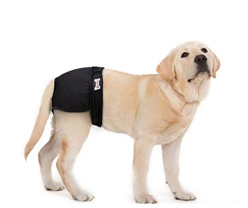 Chiot femelle pour chien pantalon de couche culotte