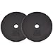 Yes4All 1-inch Cast Iron Weight Plates for Dumbbells - Standard Weight Plates (10 lbs, Pair)