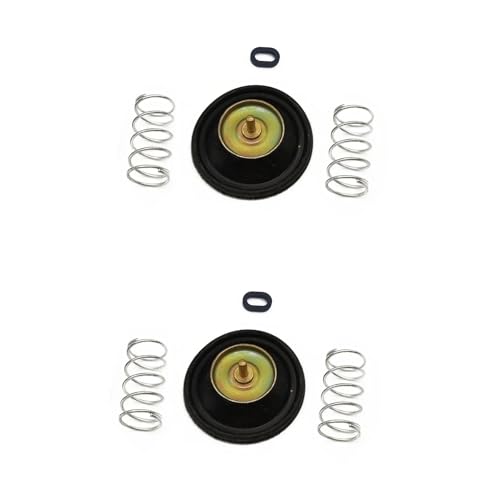 Kit de réparation carburateur moto VT600 VTR250 (2 ensembles)
