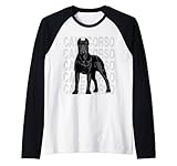 Photo Gallery cane corso molosser mastino italiano maglia con maniche raglan Photo Gallery cane corso molosser mastino italiano maglia con maniche raglan