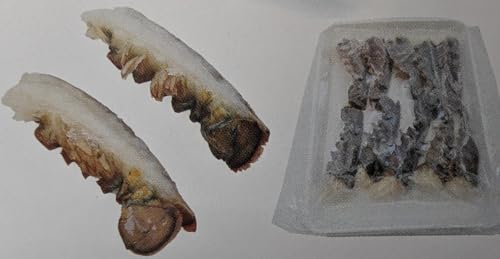 カナダ産 生冷 オマール 殻付き テールハーフ 3/4ozテール 腸管取 10ケ×10P 加熱用 業務用 冷凍