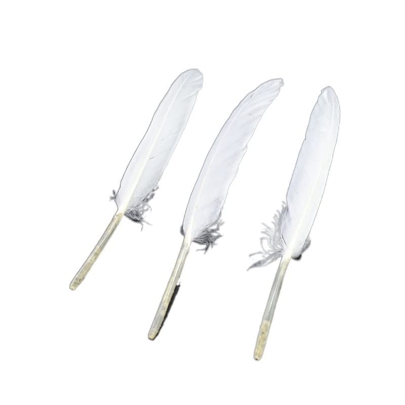 Plumas de avestruz blanca artesanías bricolaje plumas de pavo real pequeñas de 10-15cm para fiesta
