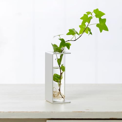 yO𐻁zTETSUNAGI t[ׁ[X C O ֑} X`[ KX  ~j { CeA AG k͔| hCt[  Mtg  eciM (zCg)