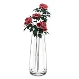 FUNSOBA Tall Clear Glass Vases for Flower Centerpieces Home Decorative 8.6 Inch (Clear)