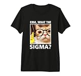 Erm What-The Sigma Cat Meme Selfie Cat Wearing Sunglasses Premium Tri-blend T-Shirt
