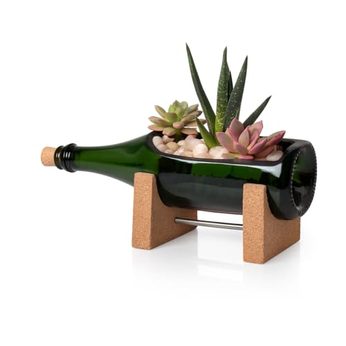 Habitage Elegant Bottle Planter Made from Upcycled Champagne Bottles | Eco-Friendly Home/Office Decor Perfect for Indoors and Outdoors | Gift for Plant Lovers