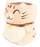 Mino ware Tasse, japanische Keramik, Manekineko-Katze, hergestellt in Japan (Import aus Japan), Nelke, Pink CPM016