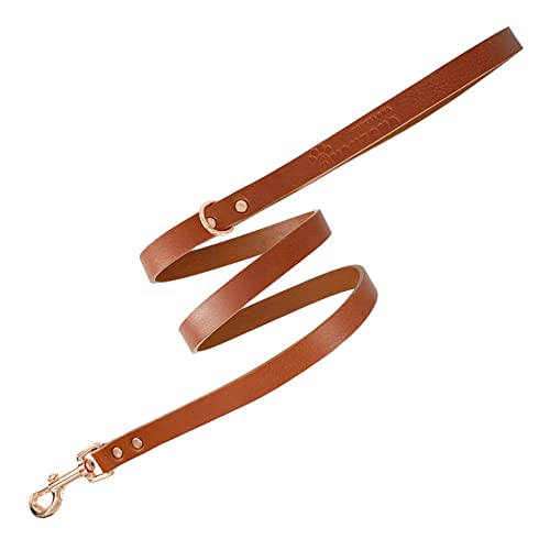 Laisse pour Chien, Cuir Pleine Fleur, fabriquée à la Main en Espagne, pour Petits, Moyens et Grands Chiens.