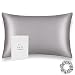 ALASKA BEAR - Natural Silk Pillowcase, Hypoallergenic, 19 momme, 600 thread count 100 percent Mulberry Silk, Queen Size with hidden zipper(Silver Gray)