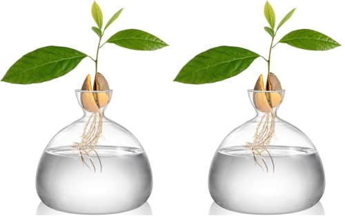 Image of Hiceeden Avocado Seed Starter Vase Planter, Clear Avocado Tree Growing Kit Pot, Medium Avocado Vase Grow Glass Plant Pot Gift for Indoor Outdoor (Pack of 2)