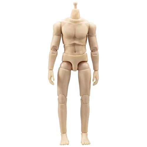 Corps masculin articulé 1/12 flexible pour corriger les erreurs de dessin anatomique