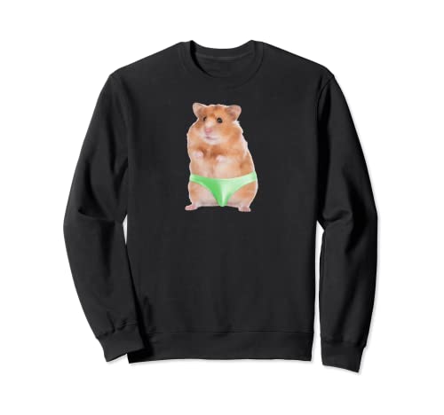 Hampster In A Speedo Kind Of Day Sweatshirt