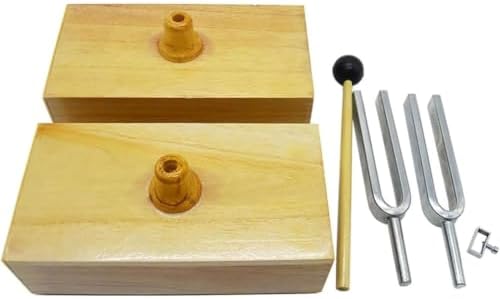 440 Hz Beater Resonance Teaching Tuning Fork Resonance Tuning Fork Group Sound Propagation Resonance Tuning Fork with Wooden Resonant Box - 2