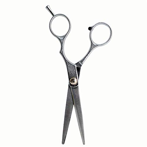 ppactvo Tondeuse Chat Tondeuse pour Chien Ciseaux pour Chiens en Acier Inoxydable Produits De Toilettage pour Chiens 6 Pouces Ciseaux pour Chiens Ciseaux À Cheveux Cover