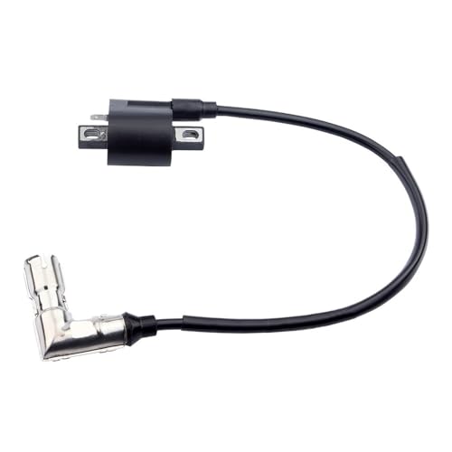 Bobina de encendido ATV compatible con repuestos de quad 200cc y 250cc 3