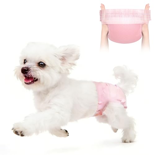 Stretchy Disposable Diapers - 10 Pcs Leak-Proof Pull-ups for Cats