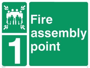 Viking Signs SY475(1)-A3L-3M"Fire Assembly Point" 1 Sign, 3 mm Rigid Plastic, 300 mm H x 400 mm W,Green