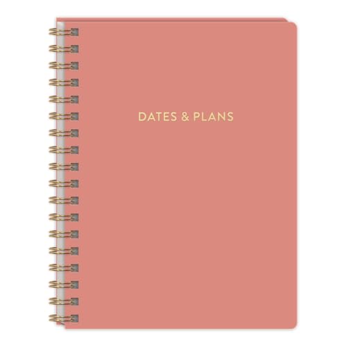 Planificateur non daté Punch Studio motif argile ludique Molly & Rex pour organisation libre