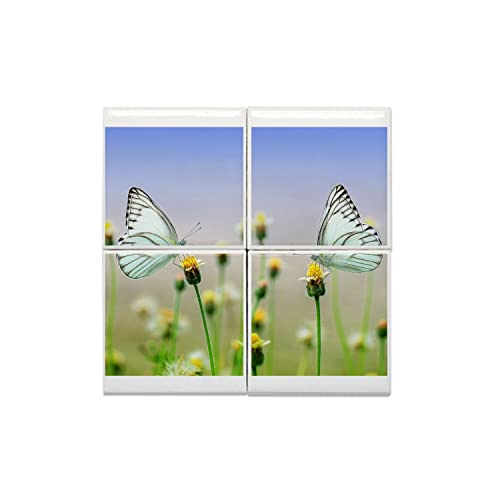 Carreaux céramique haut de gamme à motif papillon 30,4x30,4 cm
