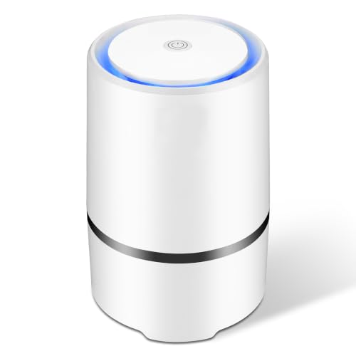 Air Purifier Air Cleaner for home with True HEPA Filter, Portable Air Purifiers, Air Ionizer Remove Dust, Pollen, Smoke, Odors with 5 V 1.5 M USB Cable GL2103