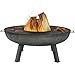 Sunnydaze Large Outdoor Fire Pit Bowl with Cooking Ledge - Wood Burning Fireplace - 40 Inch - for Patio, Backyard, and Camping