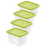 Rotho Domino 4er-Set Gefrierdose 1l mit Deckel, Kunststoff (PP) BPA-frei, grün/transparent, 4 x 1l (15,7 x 11,8 x 10,0 cm)