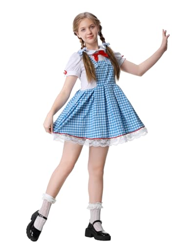 Disfraz Completo Niña Vestido Cuadros Azul Farm Girl miniatura 5