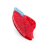 PERSONFUN Lung Hair Clip