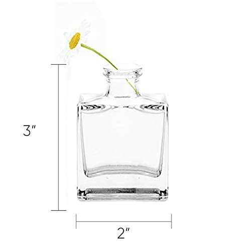 CHIVE ‘Loft’ Small Mini Flower Vases - Clear Glass Bud Vases, Set of 10 Color - Cute Vintage Rustic Centerpieces for Wedding, Events & Home - Premium Quality, Designed to Last by CHIVE - Image 5