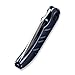 We Knife WE22020B2: Riff-Raff Framelock Blue
