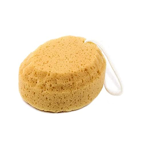 FOMIYES 5 { 킵 { EHbV X|W oX 킵 oX t[ X|W p oX pt {[ njJ w`} NbV jo[T ANZT[ CG