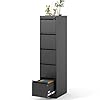 5 drawer file cabinet vertical file cabinets with lock for home officeheavy duty office steel filing cabinet for hanging letterslegala4 assembly required black  urban country home decor