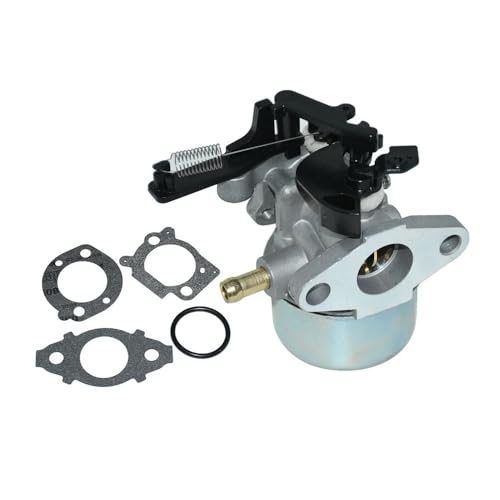 Carburateur moteur OHV 190 cm3 pour réparer les fuites d'essence et calages