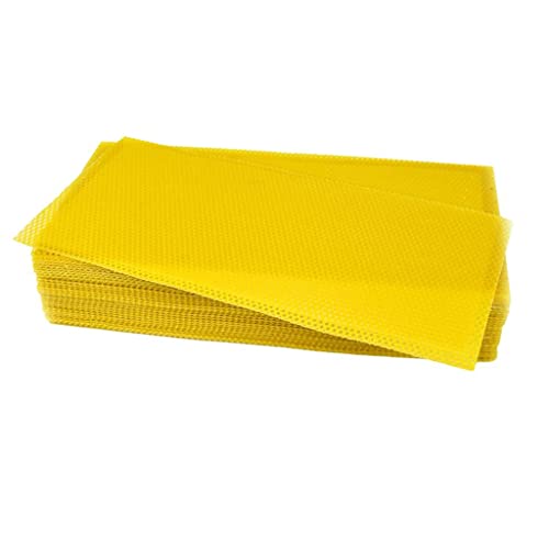 Herramientas de apicultura para evitar errores con cera básica 2