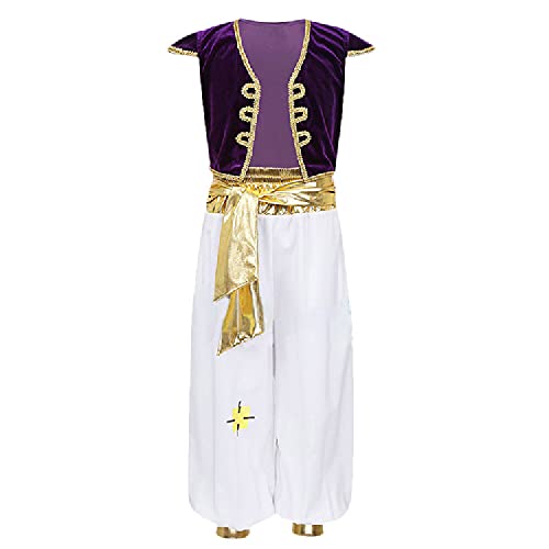 Quenny Halloween Aladdin magic lamp cosplay suits,Aladdin prince cosplay costume,children's live-action costume. (Purple/White, X-Large)